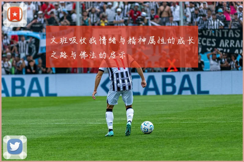 文班吸收我情绪与精神属性的成长之路与佛法的启示